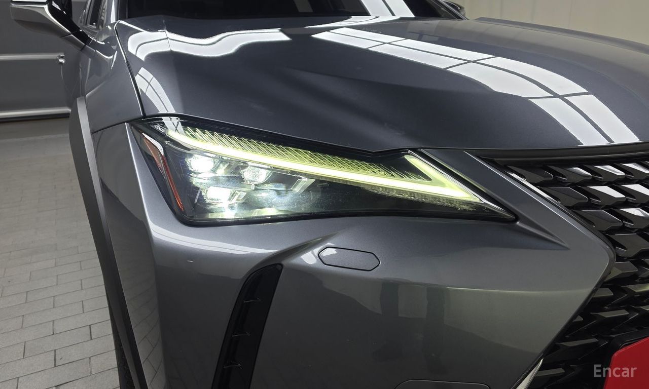 Lexus UX250h 2.0 AWD 2019