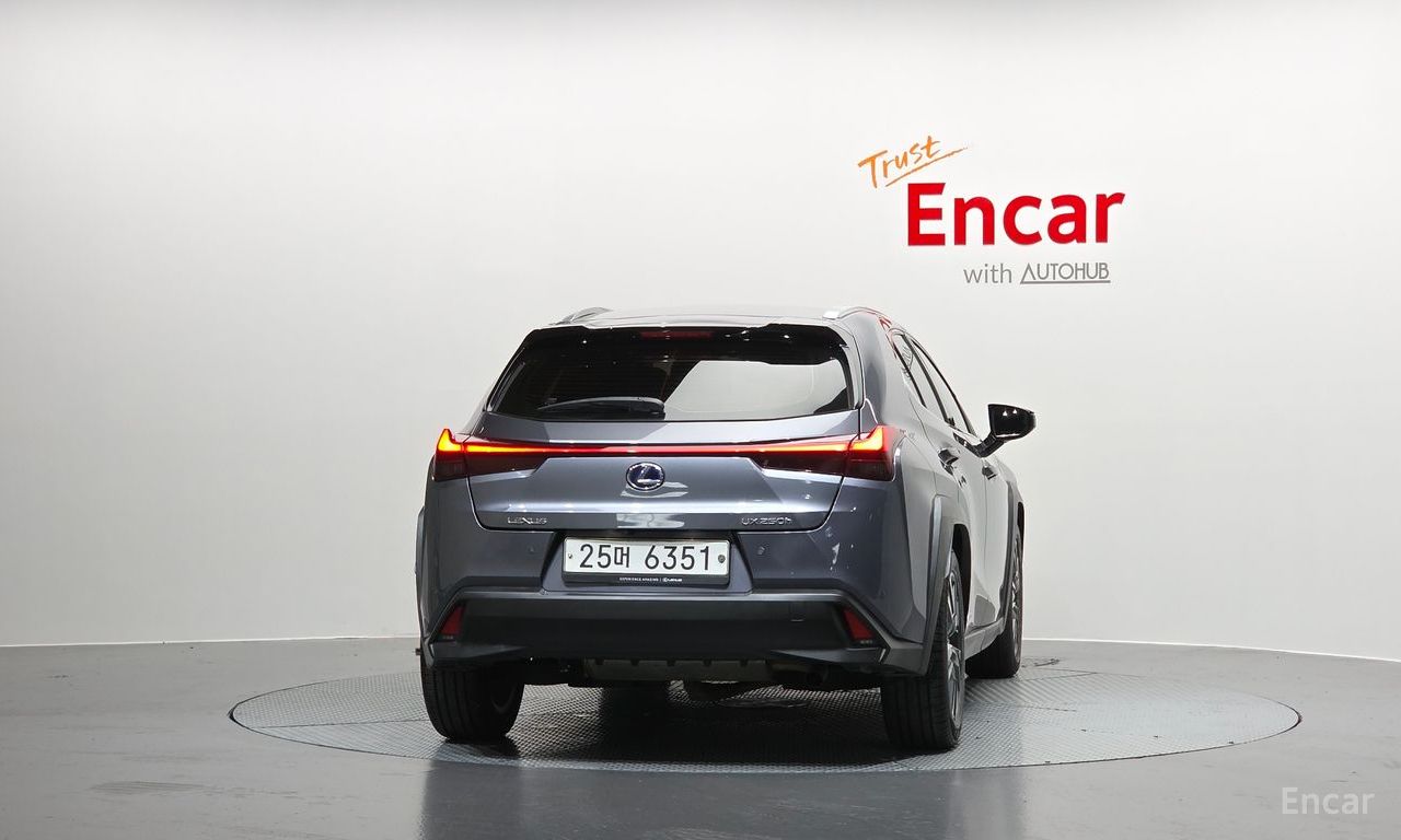 Lexus UX250h 2.0 AWD 2019