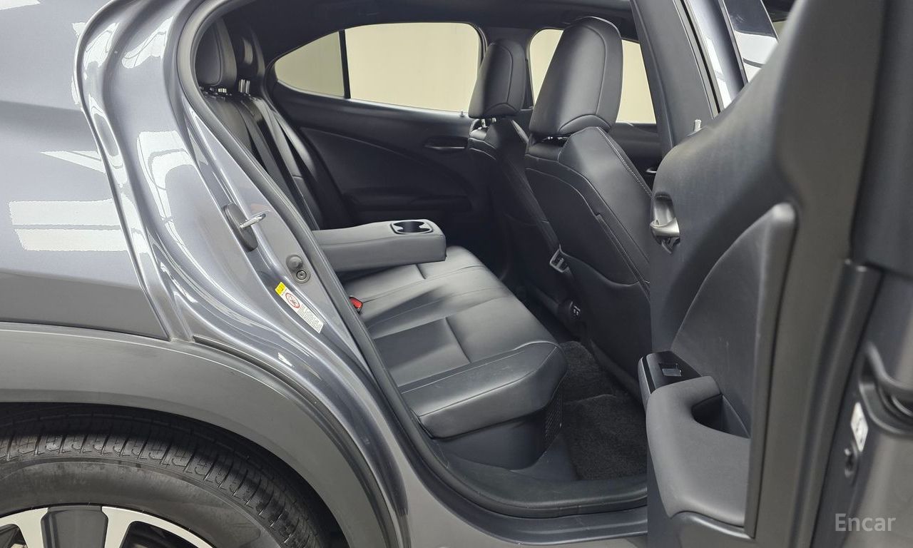 Lexus UX250h 2.0 AWD 2019