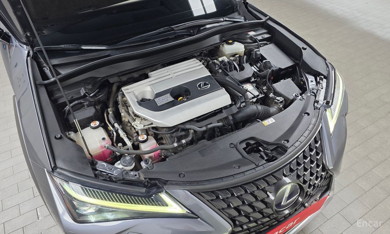 Lexus UX250h 2.0 AWD 2019