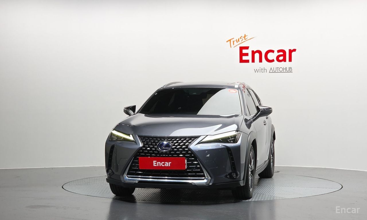 Lexus UX250h 2.0 AWD 2019