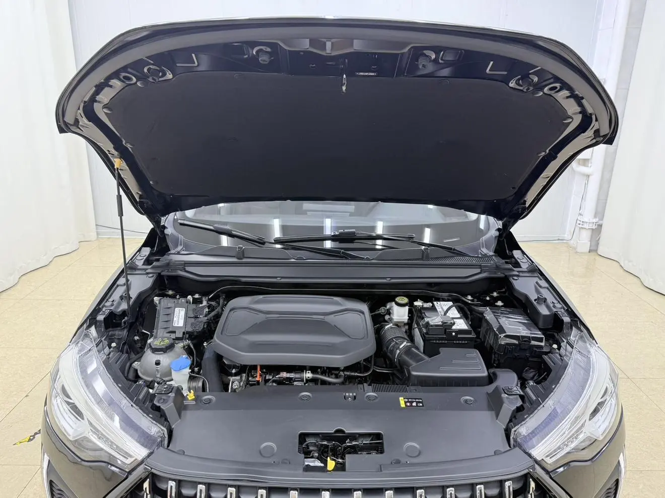 Haval 2023 1.5T Progressive