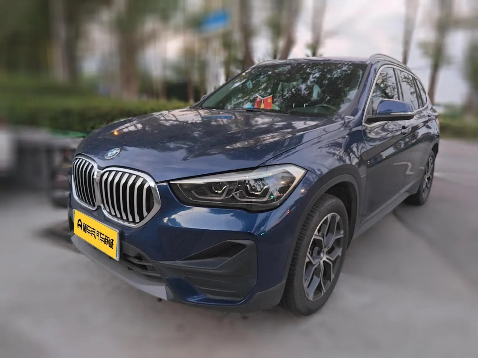 BMW X1 2020 sDrive25Li Leading