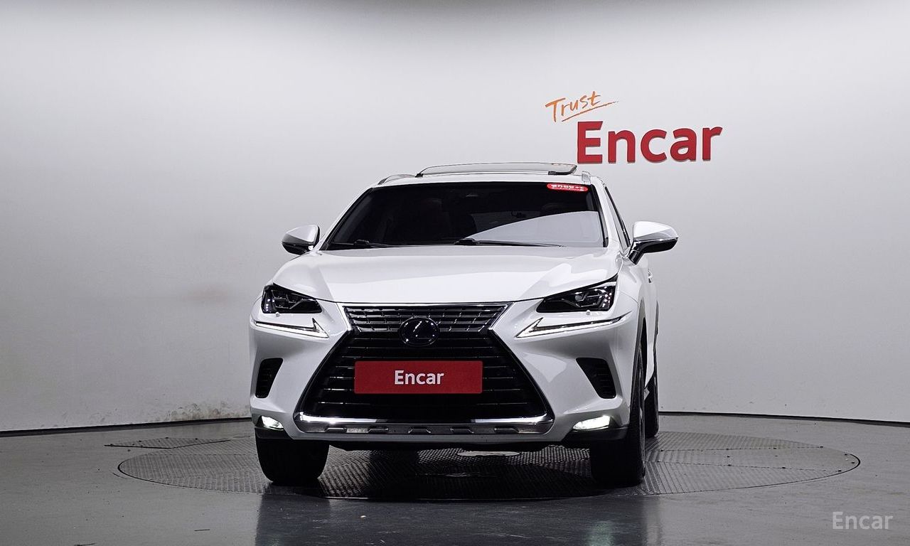 Lexus NX300h Executive 2019
