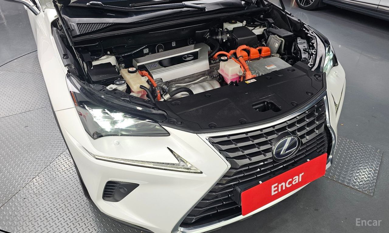 Lexus NX300h Executive 2019