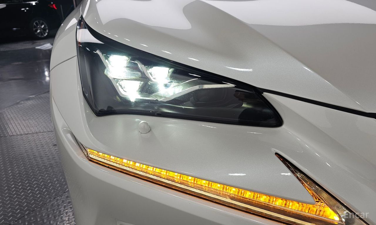 Lexus NX300h Executive 2019